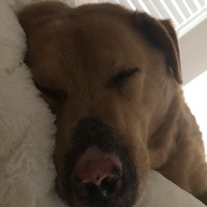 Meet your Posher, Christine